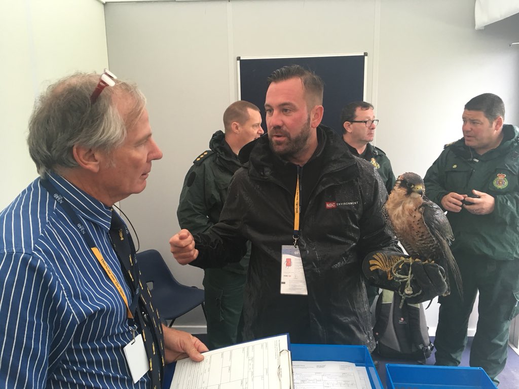 Luke (uk_falconer) Twitter