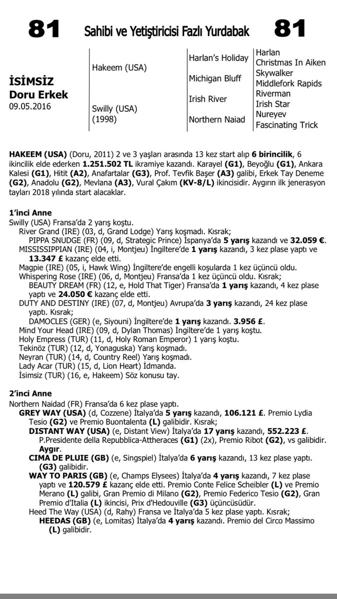 TYAYSD Satışları LOT 81 İSİMSİZ Yearling Doru Erkek HAKEEM - SWILLY