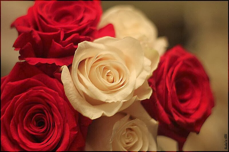 لو كان جمال الشكل والجسم اهم من جمال الروح
ما كانت الروح تصعد للسماء والجسم يدفن تحت التراب
#حروف_الشمس
#قروب_شتات_للدعم