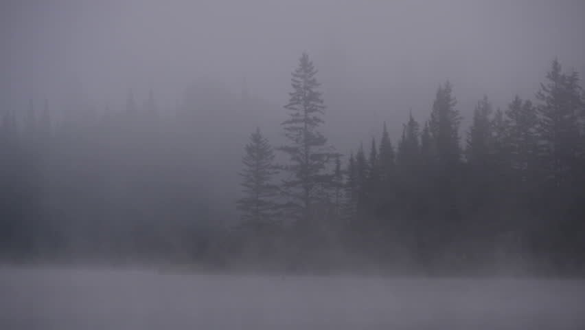 AvdhiOfficial's tweet photo. #Fog chal raha h #2000tweet ❄️❄️ https://t.co/2AXaZDwMod