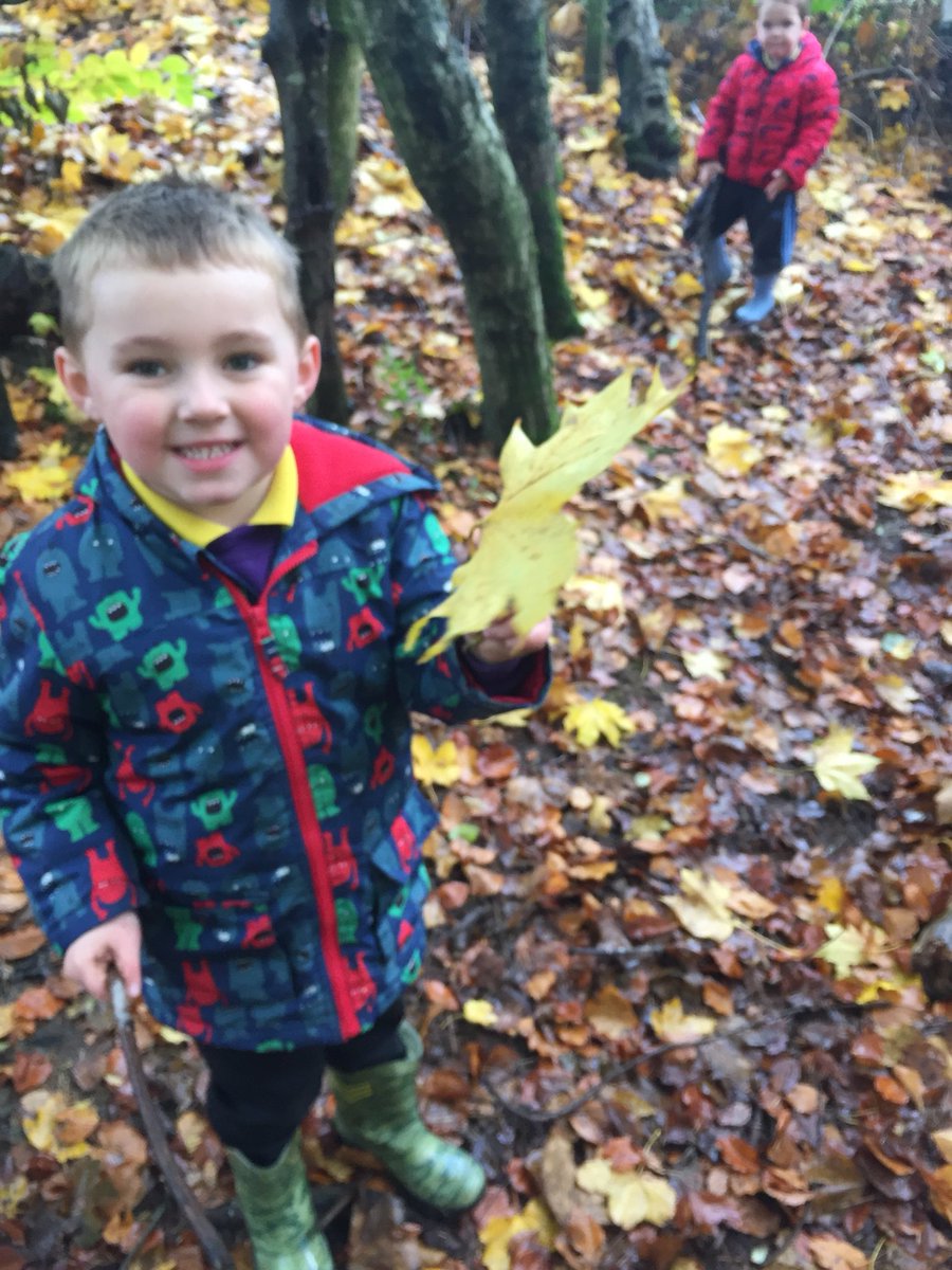 netherweans's tweet photo. We love exploring in the woods #autumnleaves #beautifulcolours #signsofnature https://t.co/KHl6aFk7FT
