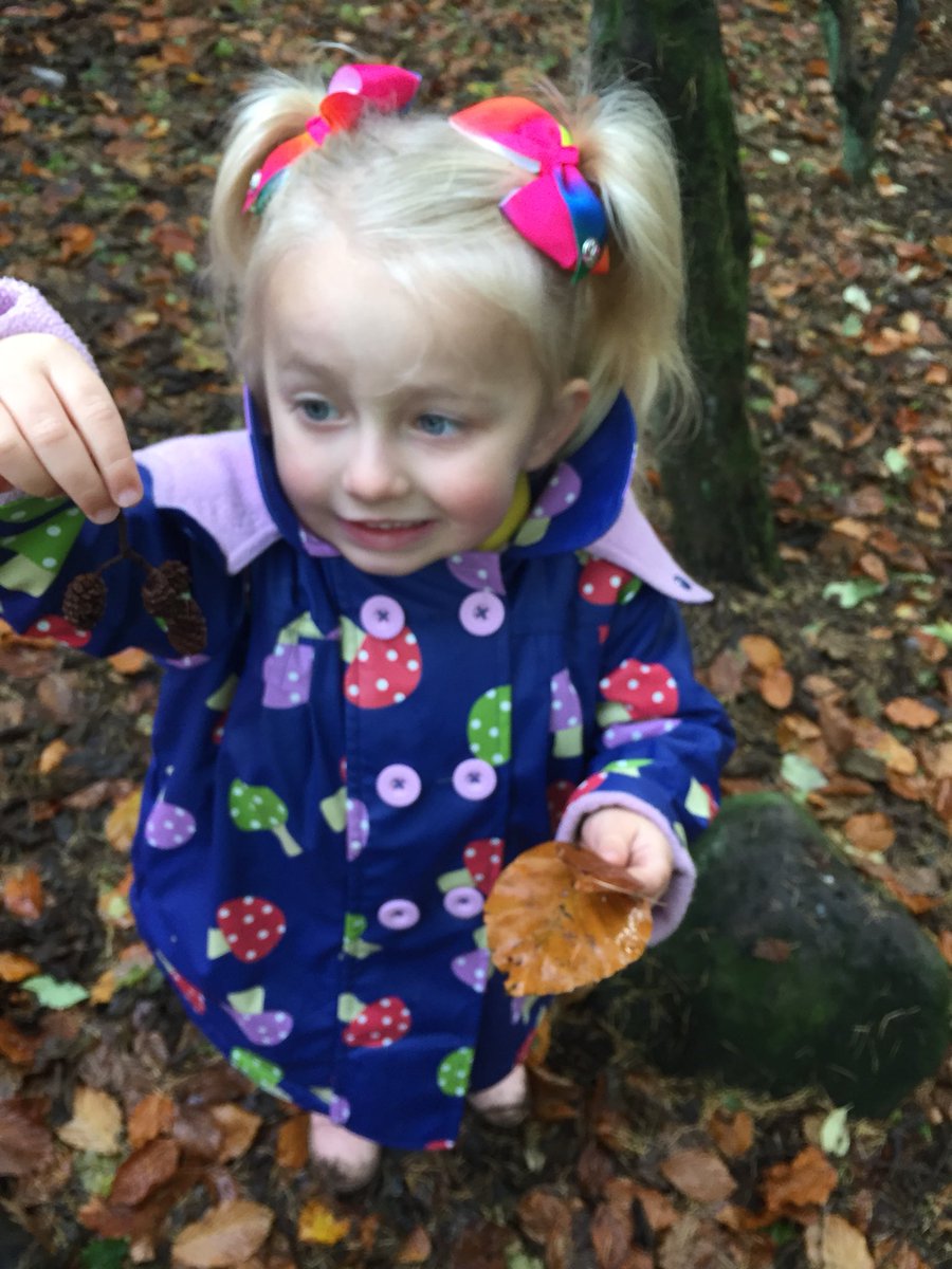 netherweans's tweet photo. We love exploring in the woods #autumnleaves #beautifulcolours #signsofnature https://t.co/KHl6aFk7FT