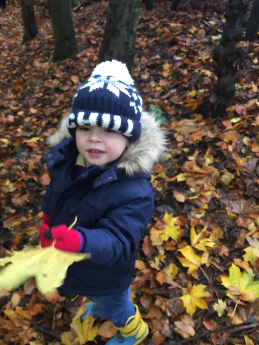 netherweans's tweet photo. We love exploring in the woods #autumnleaves #beautifulcolours #signsofnature https://t.co/KHl6aFk7FT