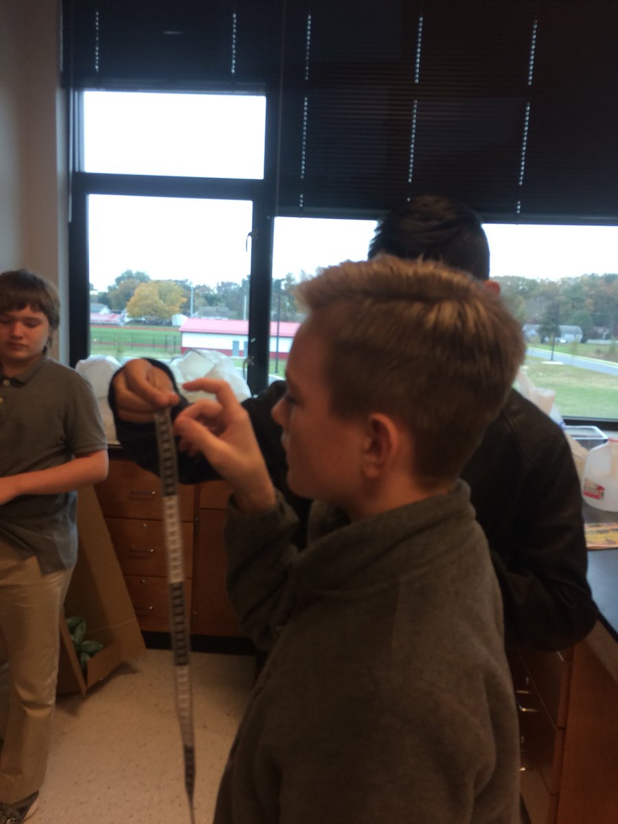 MrMcC0's tweet photo. #traitvariation #recordingdata @LaurelMSdogs https://t.co/hsyBA4f6GV