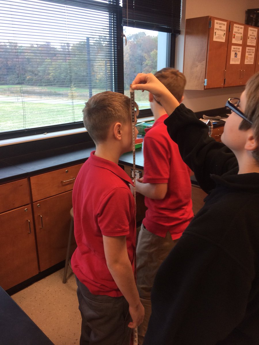 MrMcC0's tweet photo. #traitvariation #recordingdata @LaurelMSdogs https://t.co/hsyBA4f6GV