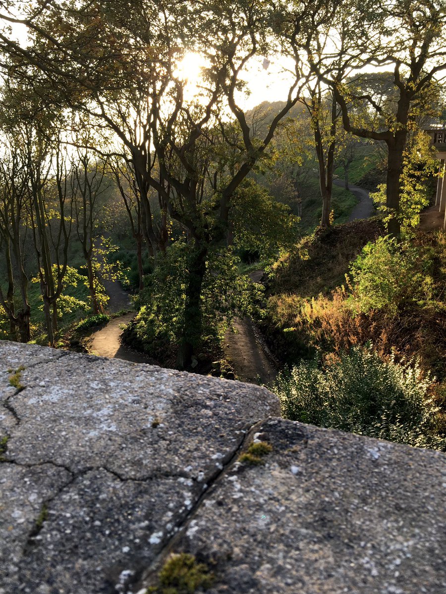 HLFSCGardens's tweet photo. These photos were sent to us by a local #Scarborough resident - the morning sun shining through the trees - beautiful! Natural #heritage https://t.co/B05DaR5cGZ