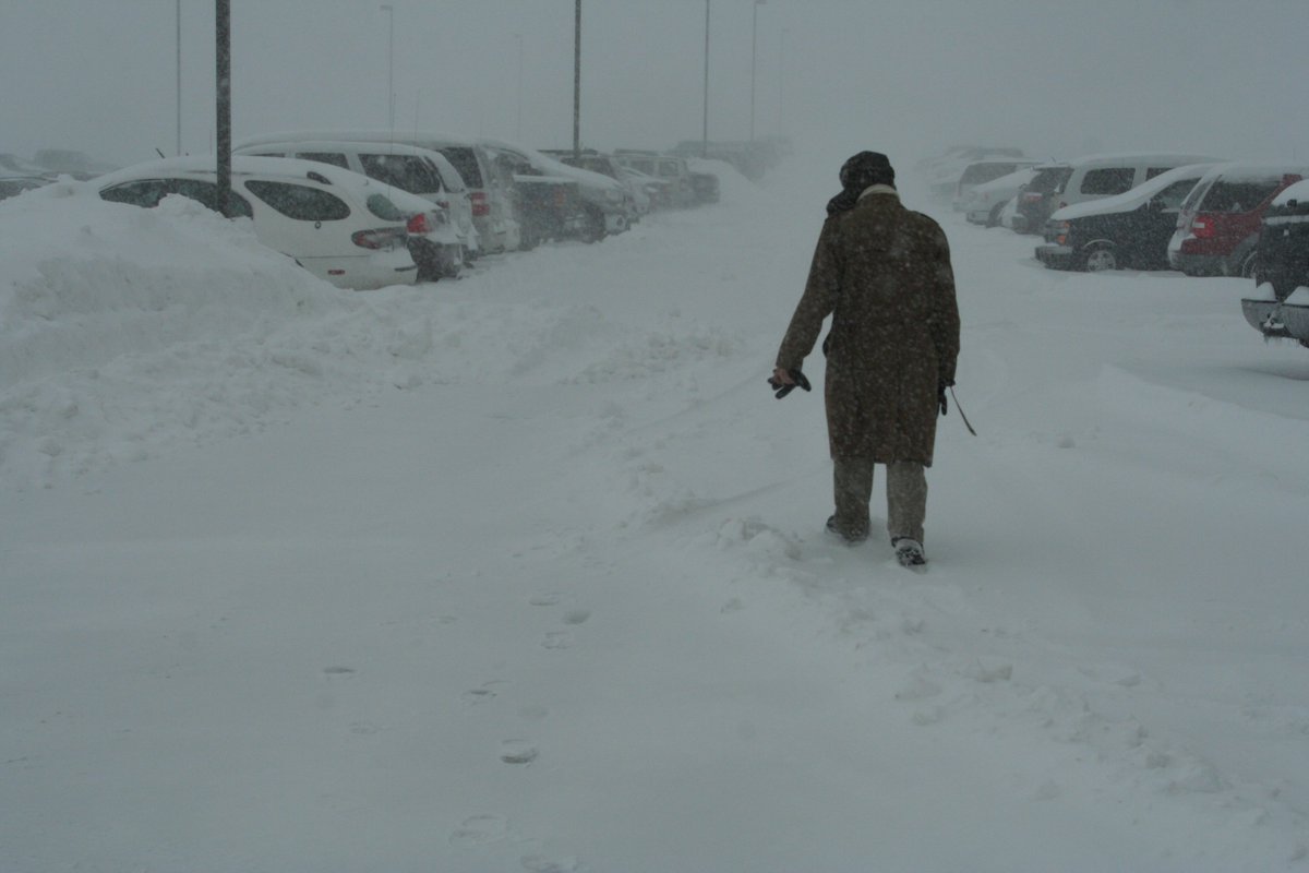 MoPublicSafety's tweet photo. Here's the @NWSStLouis #MoWinterWxAwarenessDay web page with #MoWx winter safety tips and more 

https://t.co/6HhlrLLwAV

#MoPrepared https://t.co/c7jGNpwaKH