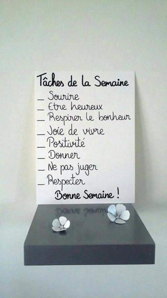 MISSEBENEmag's tweet photo. Hello les Miss. Ne prenez pas de retard sur vos tâches de la semaine 😆 https://t.co/thjfLIyJNM