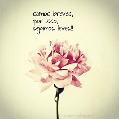 #EuDevia te dizer isso: 

🌾 Linda e leve
           Indelével🎋
🍃Rindo, se eleve e revele
             Indo, me leve...🌿
#TercaDetremuraSDV