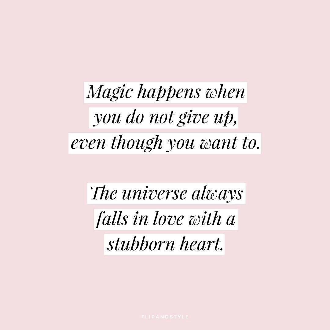 SandOfMusic's tweet photo. Oh our dearest @Pink we so hoped you would reply to our question but no word ☹ we're trying not to give up! 💕 https://t.co/M8Wx34tG4k https://t.co/q6RzQT9Yb6