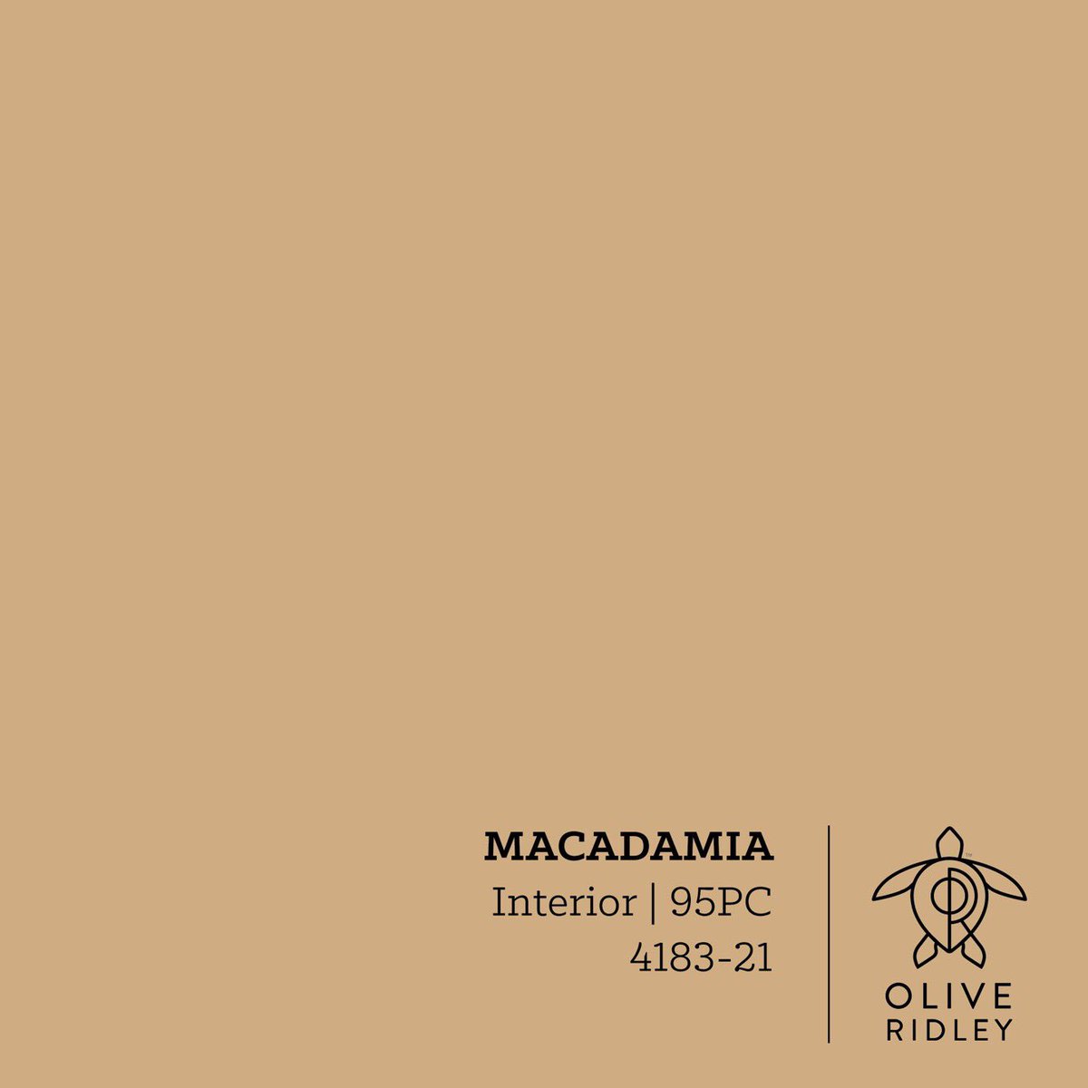 OliveRidleyRCP's tweet photo. Meet Macadamia. #paint #recycle #oliveridleypaints https://t.co/mGDXPoPEsl