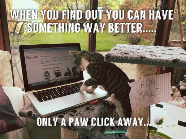 artdivision's tweet photo. Out with the old, in with the new #cats #cute #funny #property #OnTheMarket
#ARTDIVMEME https://t.co/yVc5RR4BPY
