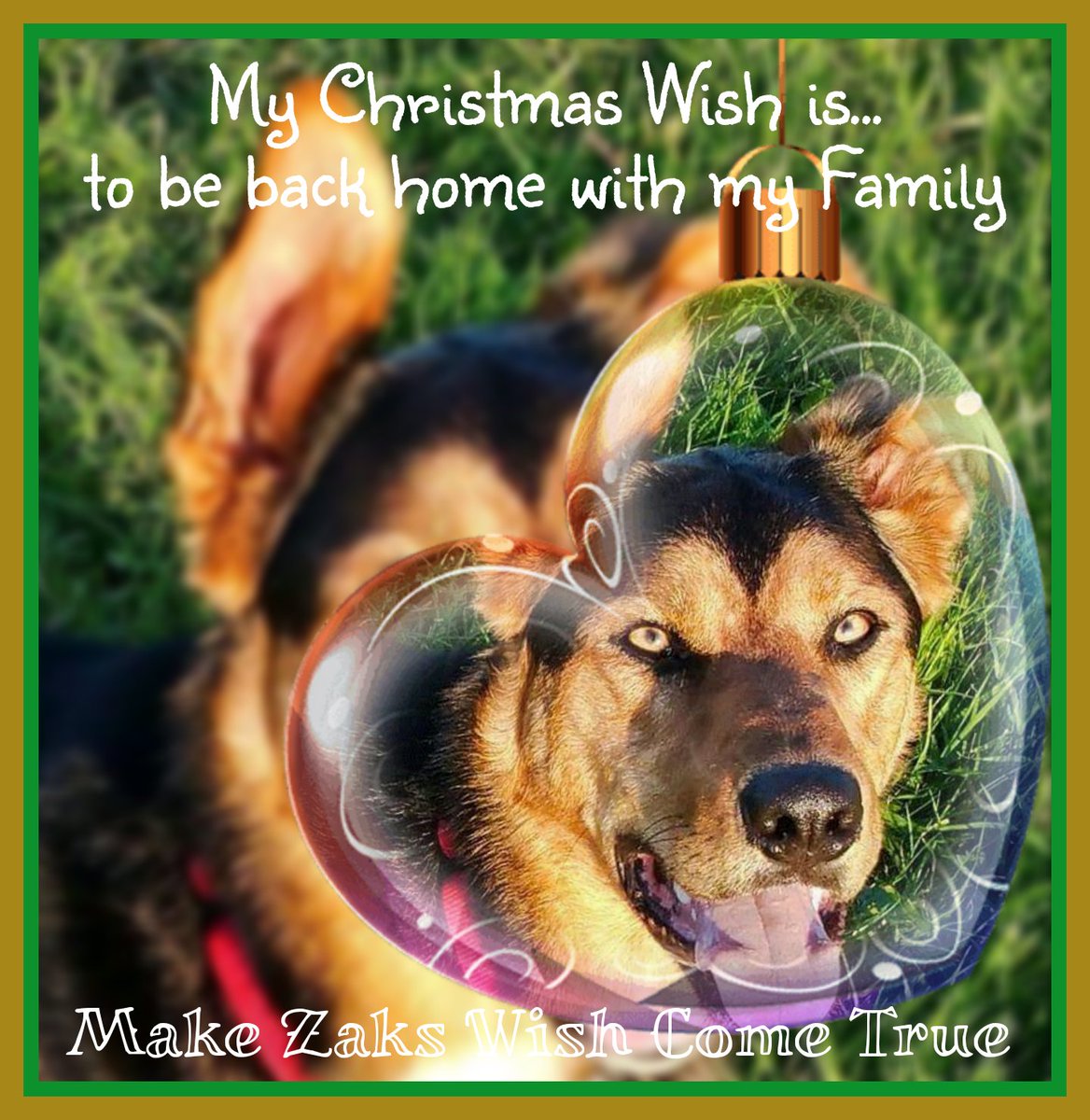 #FindZakHuntaway tweet media