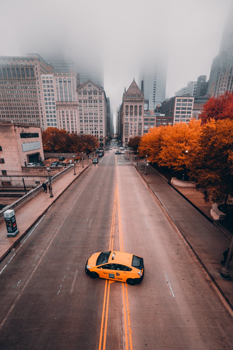 _element97's tweet photo. Fall is in full swing here in Chicago https://t.co/iES5bThqSo