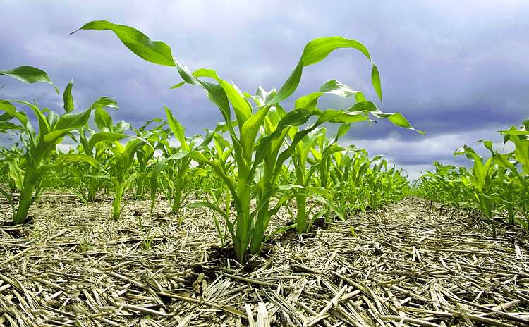 Resultado de imagen para AGROECOLOGIA