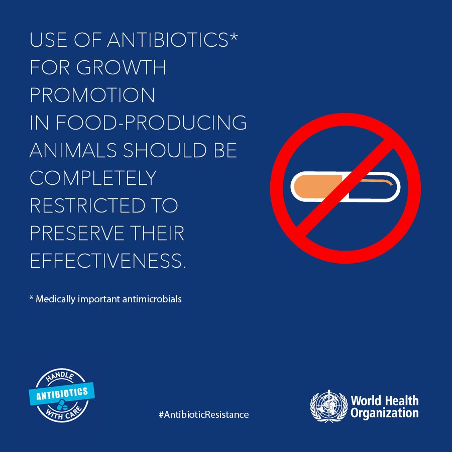WHO's tweet photo. Stop using antibiotics in healthy animals to preserve their effectiveness &amp; keep pple healthy https://t.co/T3vCBl6QzR #AntibioticResistance https://t.co/uYJnv9RkL7