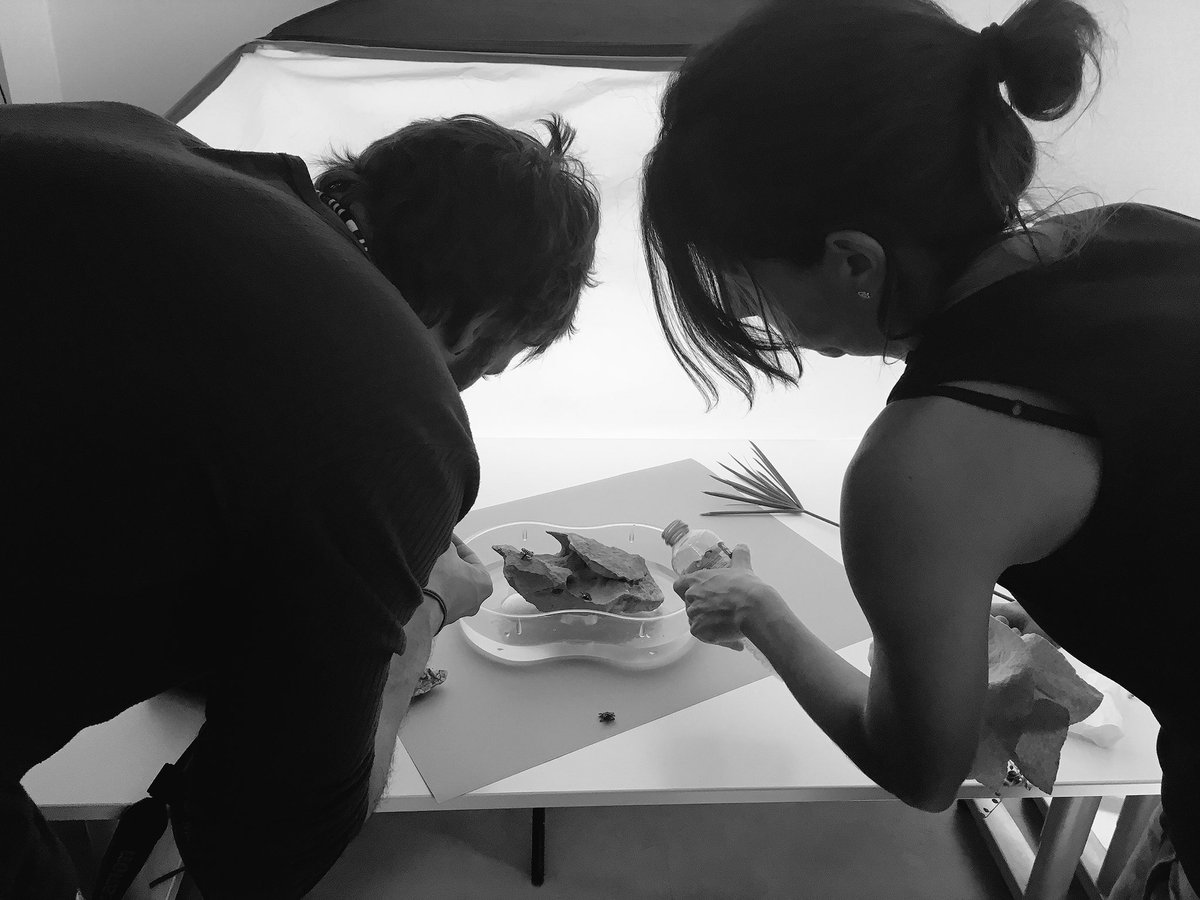 Una jornada entre bichos e insectos. Suerte que los bichos no picaban 😄#publicidad #fotos #marketing #moda #calzado