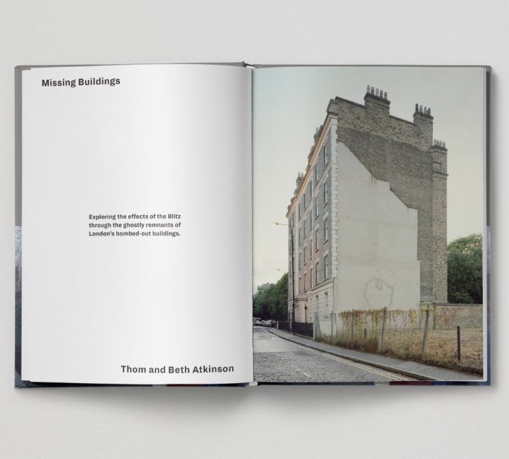 Black Dog Represents tweet media