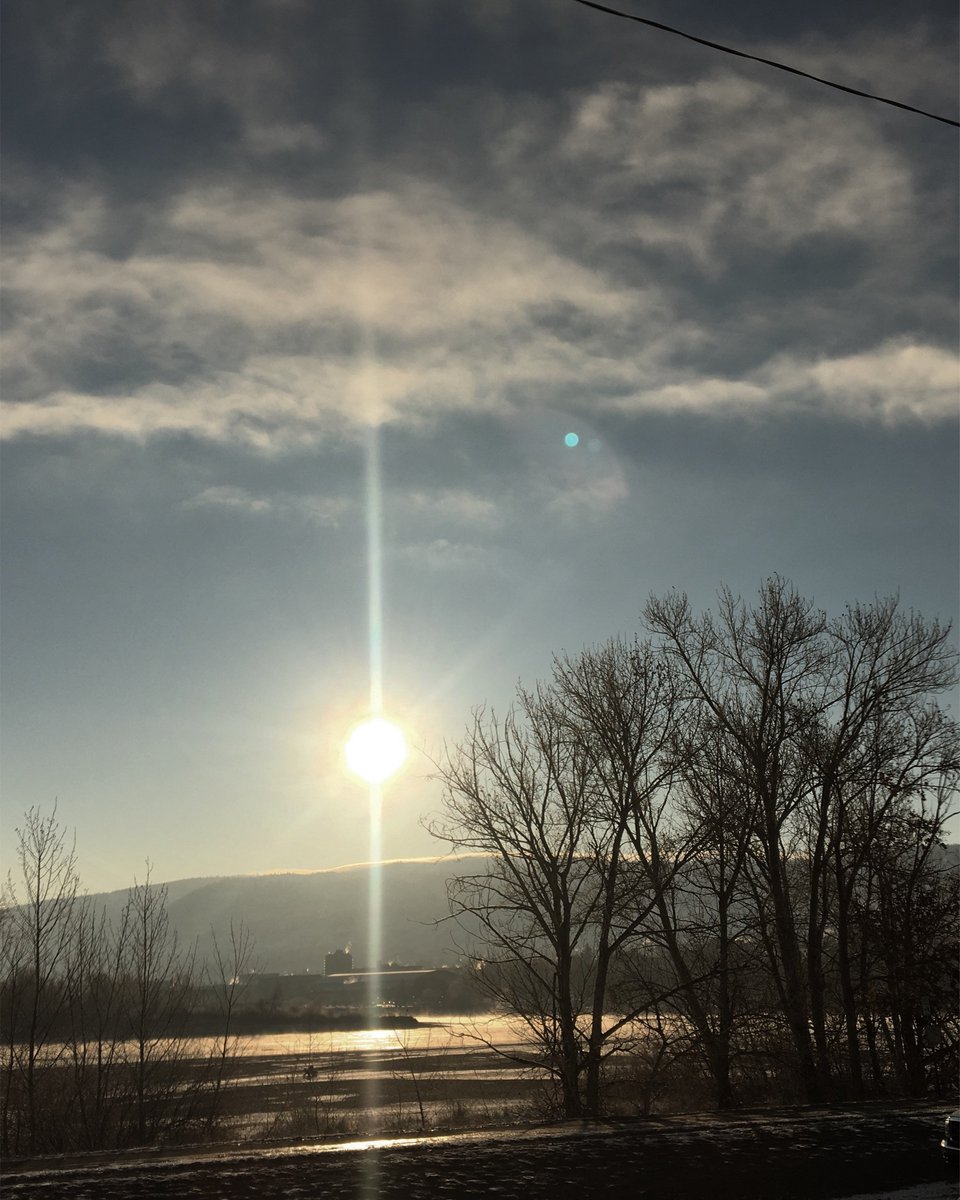 Red Beard Cafe tweet media