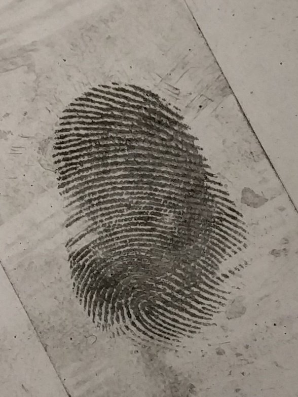 EAHSphysics's tweet photo. #NotPhysics Fingerprint analysis lab in #ForensicScience. Some great work to ID unknown prints to classmates. #STEAM https://t.co/jgXnq5RkZk