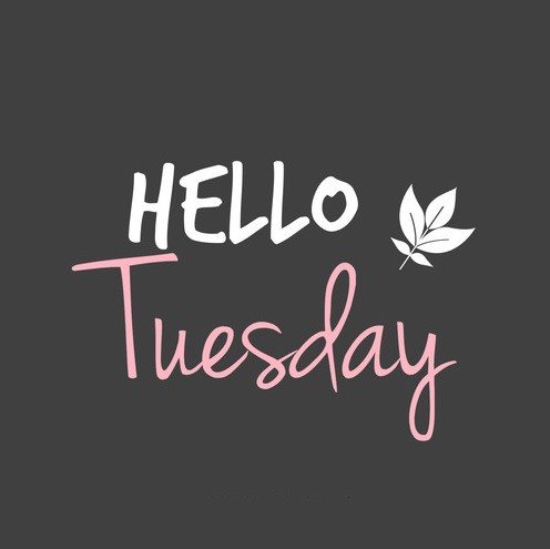 Happy Tuesday! I hope everyone has an amazing day, keep being an inspiration. #TMXCares #TMXFamily #Tuesday #Proud #Blessed #Inspired