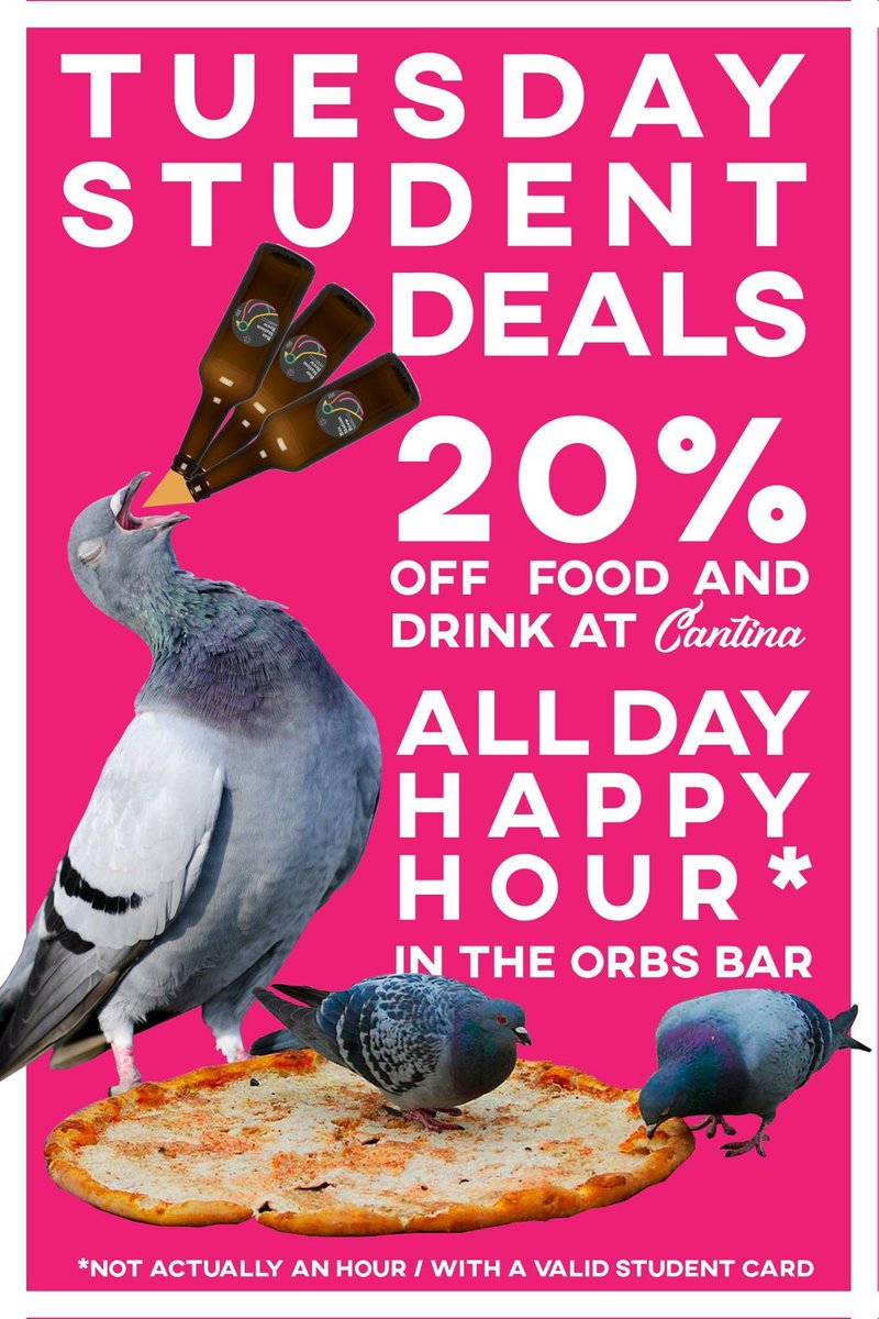 OldRedBus's tweet photo. Are you a student? What about a pigeon? Maybe both? Get down t' TORBS Student Tuesdays.๐ฆ๐๐บ #leeds #studentsofleeds #drunkpigeons #veganfood https://t.co/mcCIlmSql2