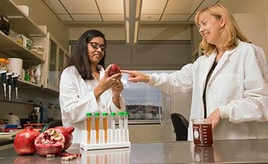 DJC_comm's tweet photo. Study conducted by @ualbany Prof Ramune Reliene finds pomegranate hinders #breastcancer stem cells https://t.co/k5h87qRbvX #HealthNewsDigest https://t.co/PKOZ5OSsoS