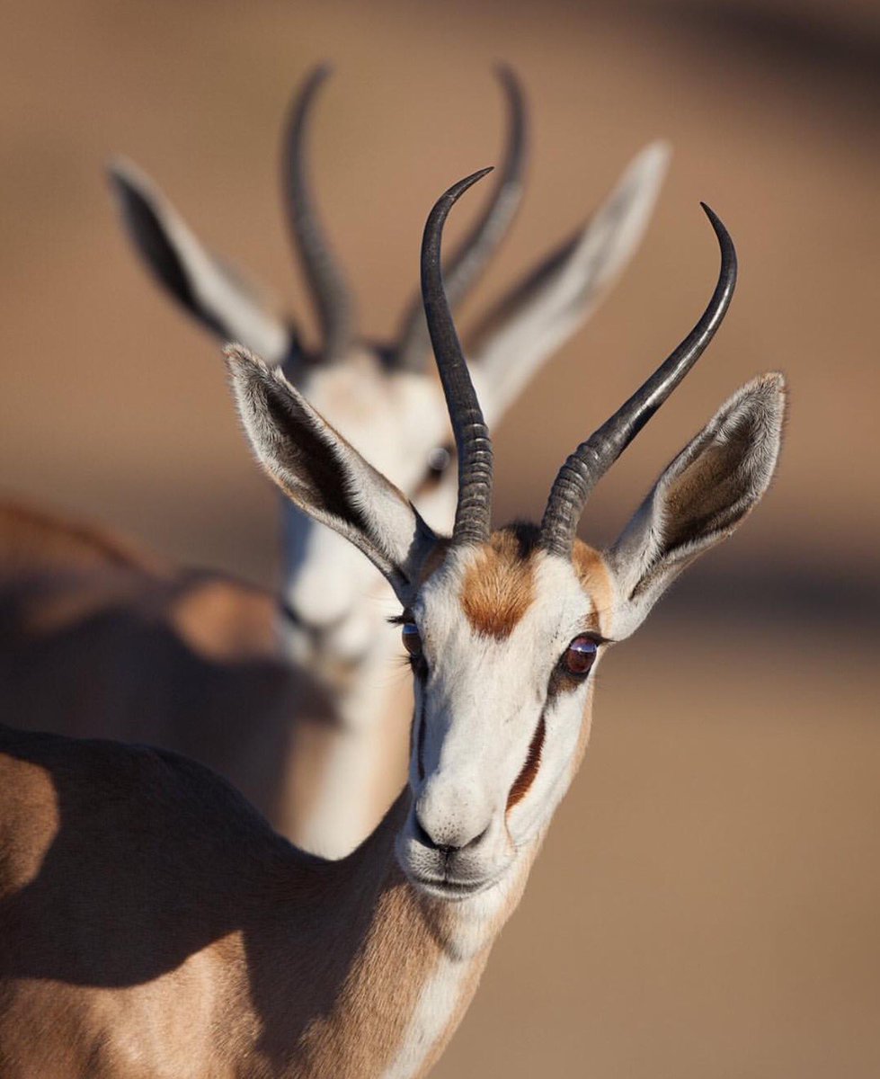 #اول_صوره_تطبعها_لمين