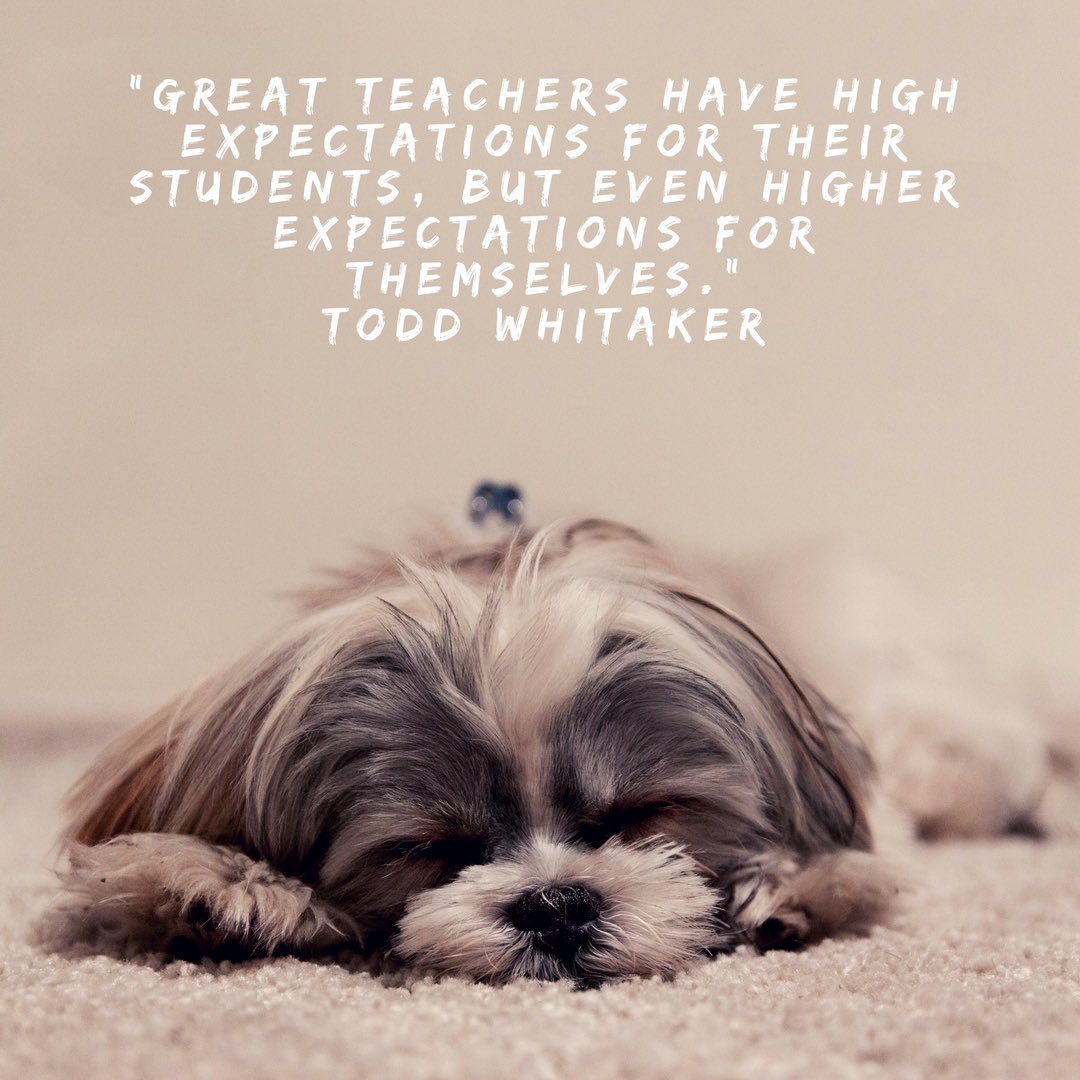 MrsLokanc's tweet photo. @valjohnson9915 inspiring innovators task 4 is Todd Whitaker! #innovate135 https://t.co/2mfU8seK3Z