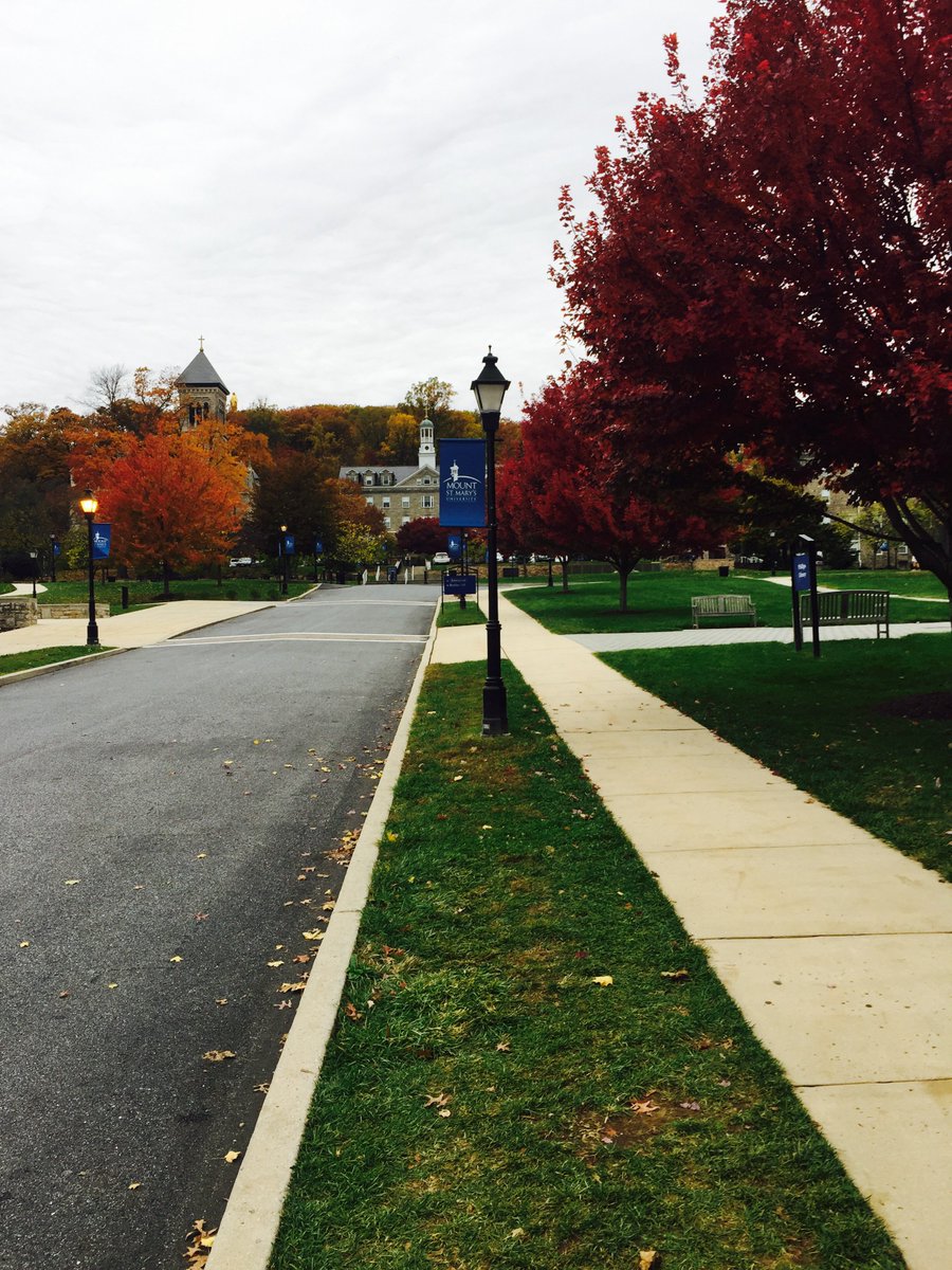 MountAdmissions's tweet photo. #CurrentViews #MSMU #MountProud #MSMVisit
You might just fall in love with the Mount - come see for yourself
https://t.co/XEvHIvDkmN https://t.co/WPKZzNoAzr