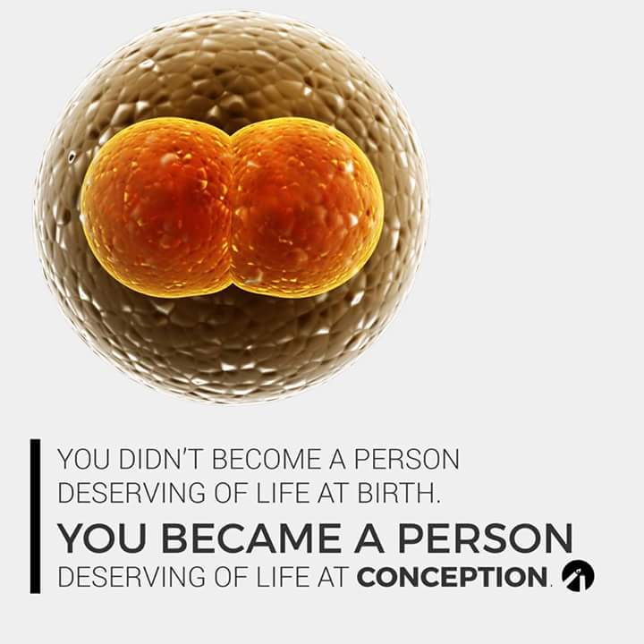 alfoytjr's tweet photo. #marchforlife #righttolife #ProLife #prolifedad #DefundPP #abortionismurder https://t.co/mP14ZuiQVV