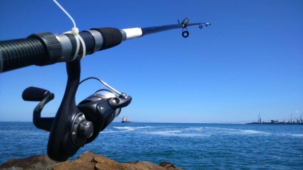 BuceoOceano's tweet photo. Puedes encontrar variados productos de #pesca en nuestro local, #multifilamento #cañas y más! 🐟
📍Local 11, #Balneariomunicipal 
#Antofagasta https://t.co/MLDBQ87ZuL