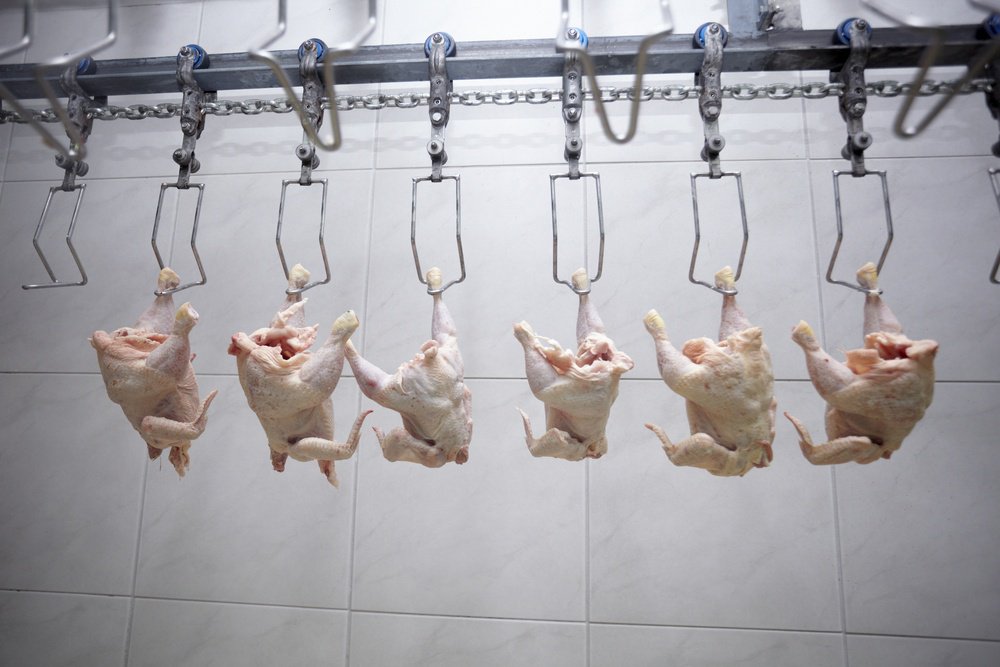 FoodProcessing tweet picture
