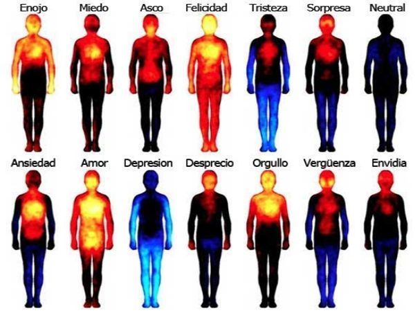 sonia_hernando's tweet photo. El impacto de las emociones en el cuerpo y su mapa corporal https://t.co/I6yNTtSNXW https://t.co/hv2T1ZUmQc