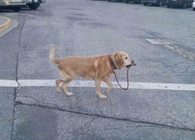 RifRafLogan's tweet photo. How it feels when you have a professor who can't teach anything https://t.co/SDEWhsDAmZ