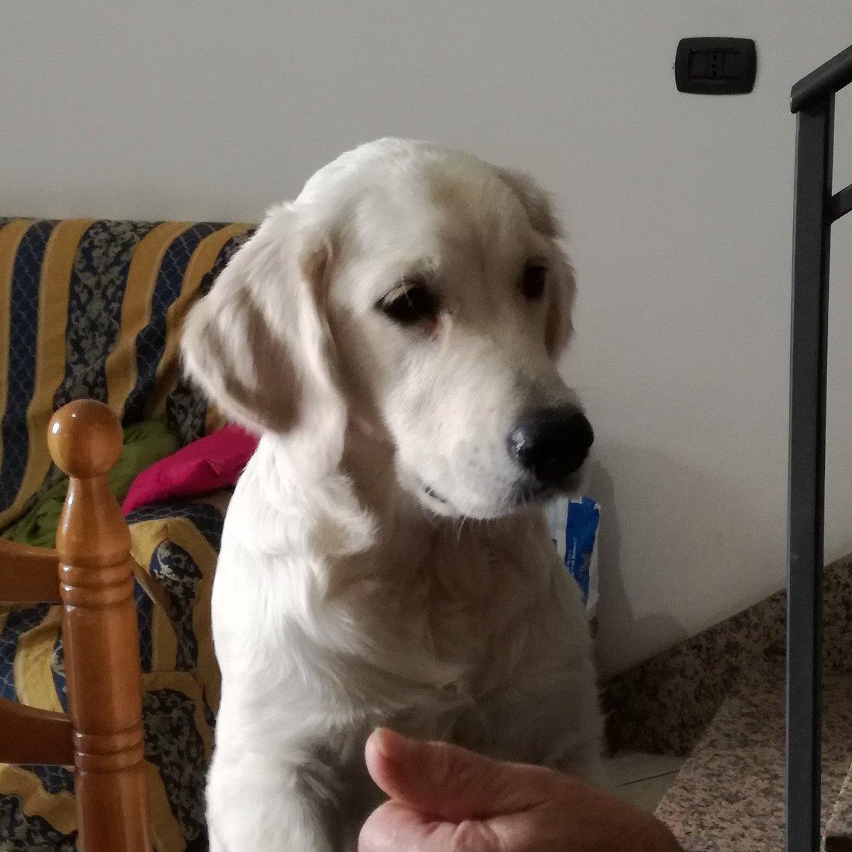 mimali771's tweet photo. Io comunque preferisco lei <3 https://t.co/6Sq95pdf8E