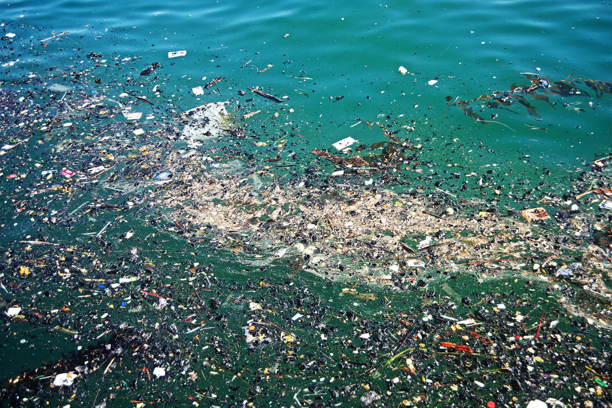 humanimpact_hb's tweet photo. When you throw plastic bags and other plastic materials in the ocean, it kills as many as 1 million sea creatures annually. #ecofacts https://t.co/0TN9A0U8dT