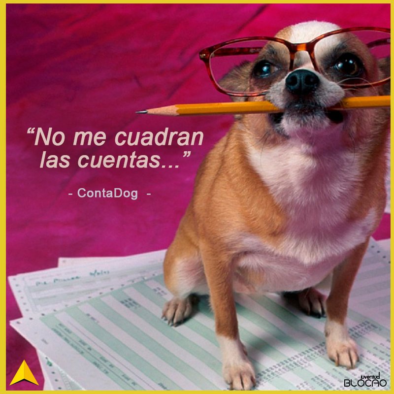 csg_mx's tweet photo. El #ContaDog anda estresado porque no le cuadran las cuentas... :'v #FelizMartes!! https://t.co/Z1XOqkZgp9