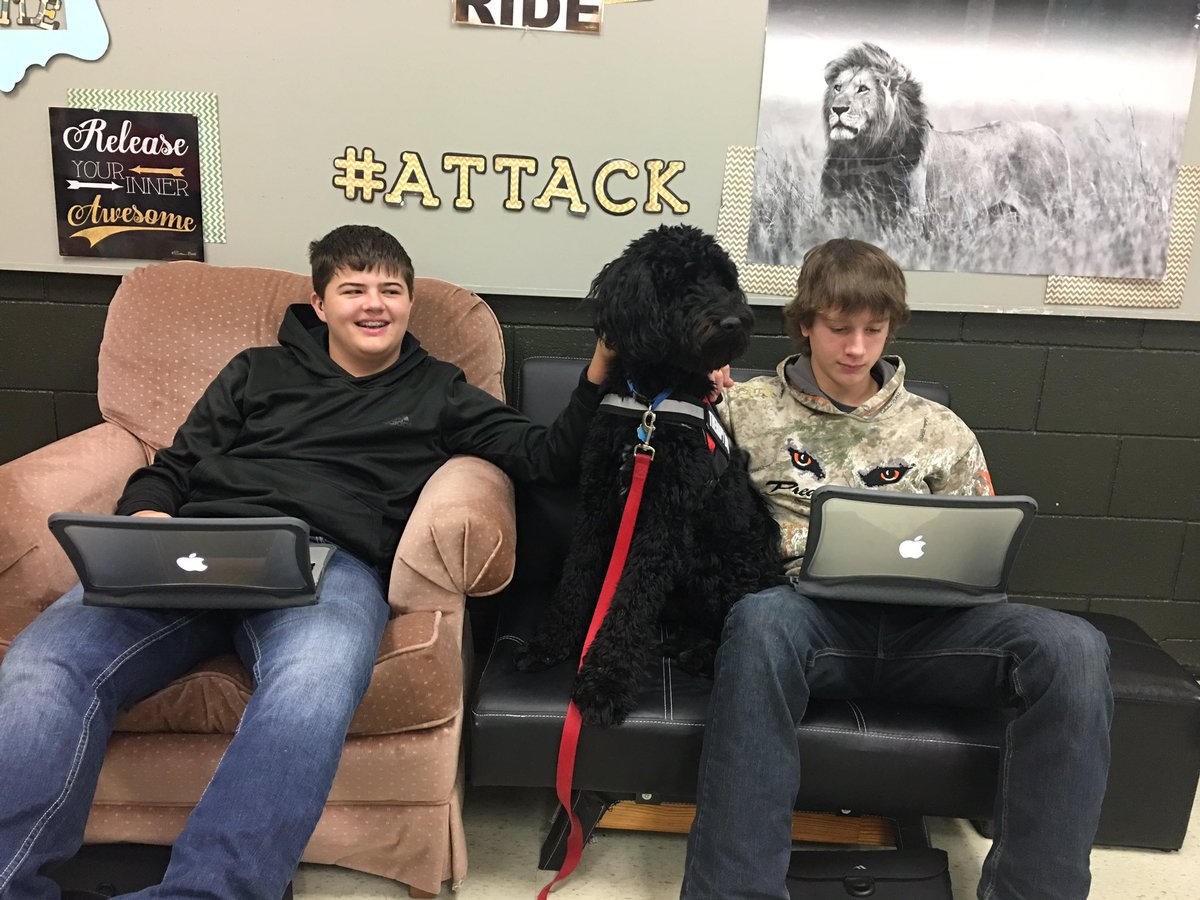 THE_HowieDog's tweet photo. Helping the kids at @Crestwood_HS get their Student Led Conferences done!!! @Apple #therapydog @2020howardwinn https://t.co/MEhDQ2KOkV