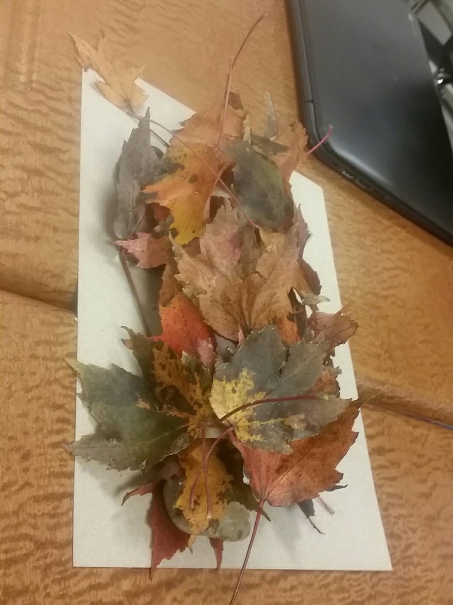 vanessathorne's tweet photo. #STEMchallenge #mostarsummit @melaniegillila2 @admarcum98 We hid our turkey well! https://t.co/I5x7wSSelB