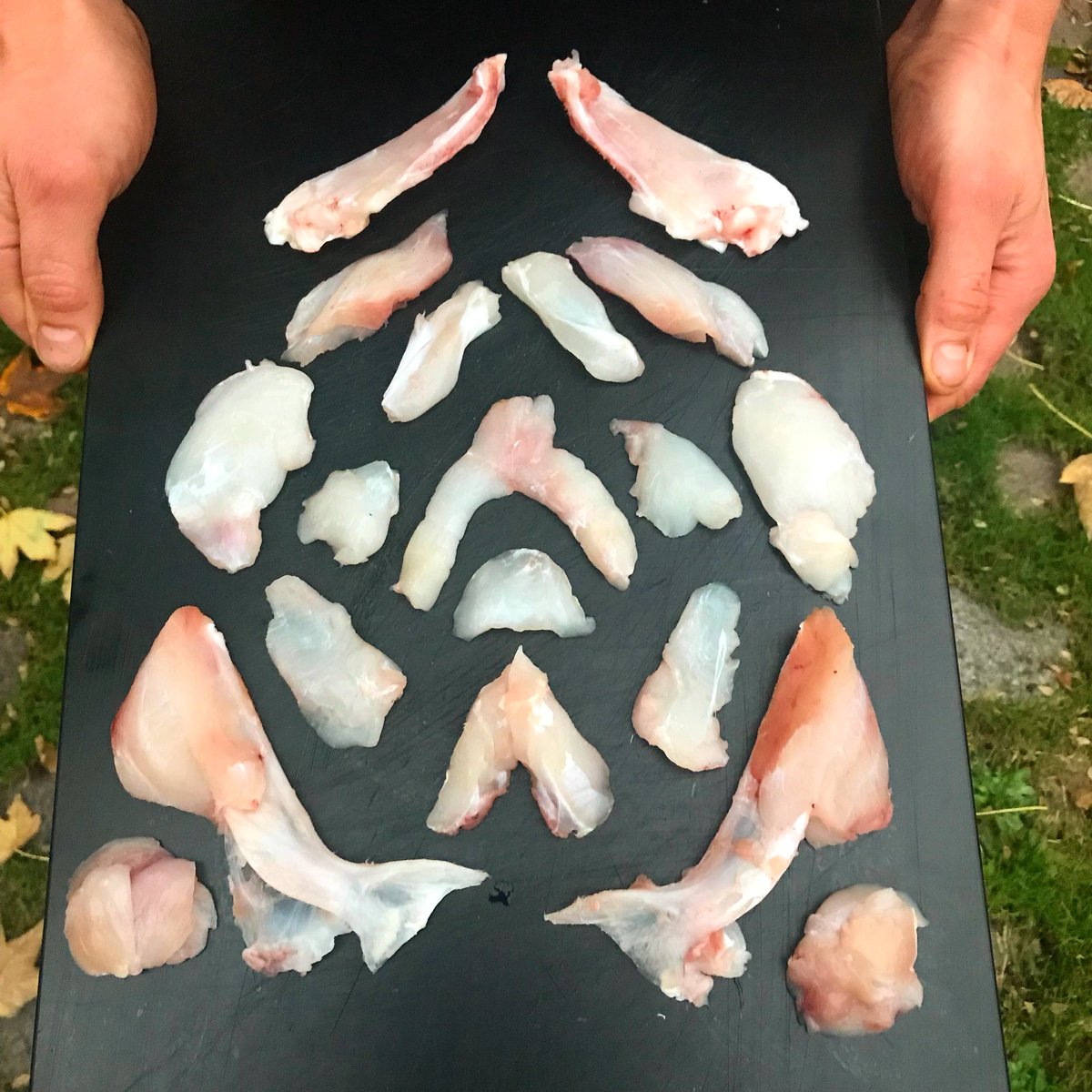 ReneRedzepiNoma's tweet photo. All the meat from a cod’s head (and its bones) https://t.co/nsW0IlIh4R