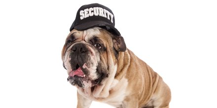 KIDS_N_PETS's tweet photo. What kind of dog keeps the best time? A watch dog! #KIDSNPETS https://t.co/mnQUQmpN6d