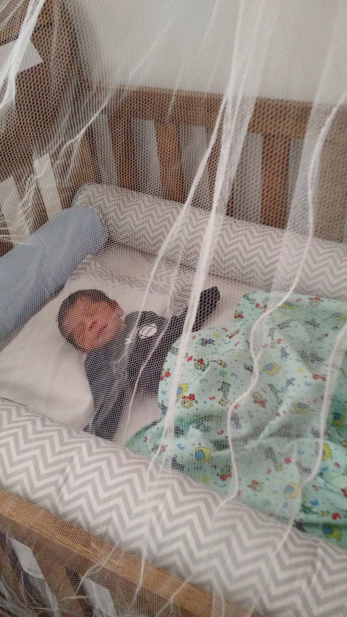 deeeehl's tweet photo. Meu amor chegou 😍💙 https://t.co/NBTSybmbW7