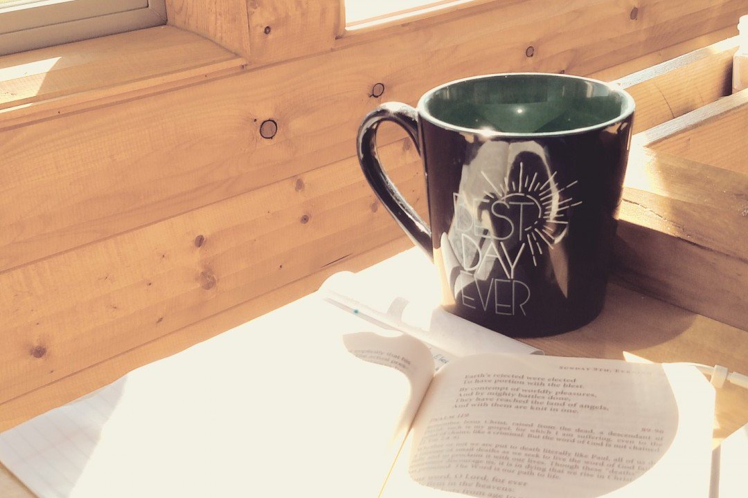 IgnitionNovel's tweet photo. What methods do you use to find good books to read? I talk about my strategies in my blog! https://t.co/uxcaIzrXwP #WilliamHawk #Ignition https://t.co/F73conURoW