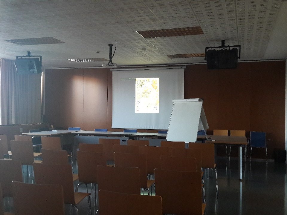 OfizinaLengAragonesa tweet media