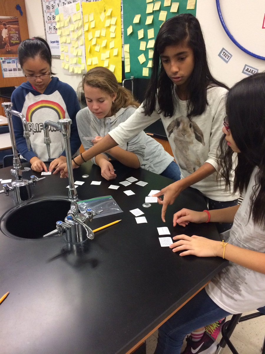 SudovskyL's tweet image. Matching graphs to stories #mathinscience #kmsscience @Killian_MS