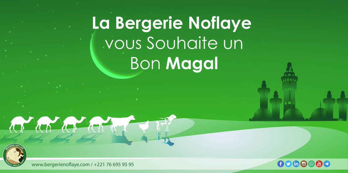 bergerienoflaye's tweet photo. La Bergerie NOFLAYE vous souhaite un bon #MagalTouba2017 #kebetu https://t.co/7YwXK8xPsb https://t.co/h4sZWsf9q5