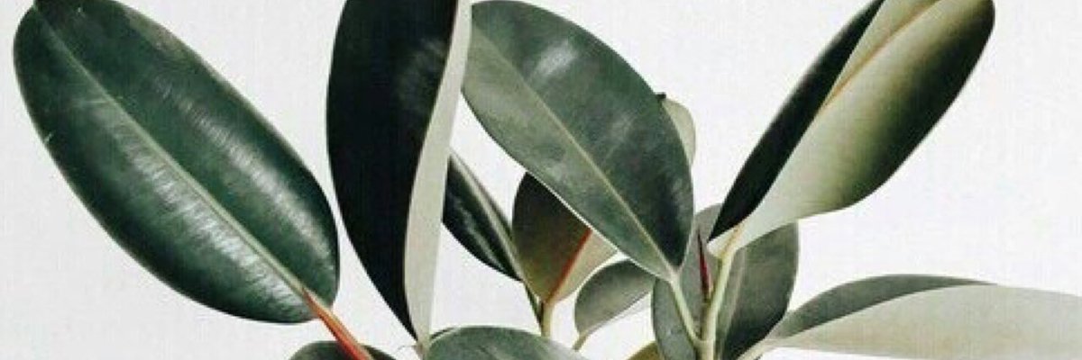 bigtimelayout's tweet photo. James Maslow layout 🍃
• rt if you save it (be honest)
• fav if you like it
• give credit https://t.co/1j3DByuXUX
