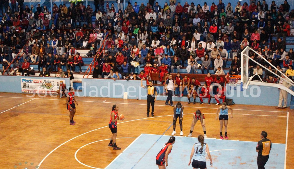 apurobasket's tweet photo. D. Quito y Real Bolivar – LDU cara a cara por el clàsico capitalino
https://t.co/UXj7uHiKP7 https://t.co/0cY6vtisGg