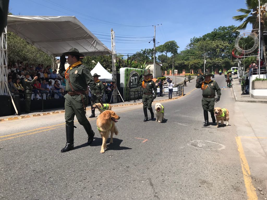 PoliciaBmanga's tweet photo. Nuestra misión es la seguridad de todos los ciudadanos de Colombia #126Años #MTI #DesfileDeFloridablanca https://t.co/QUAkPUpxwX